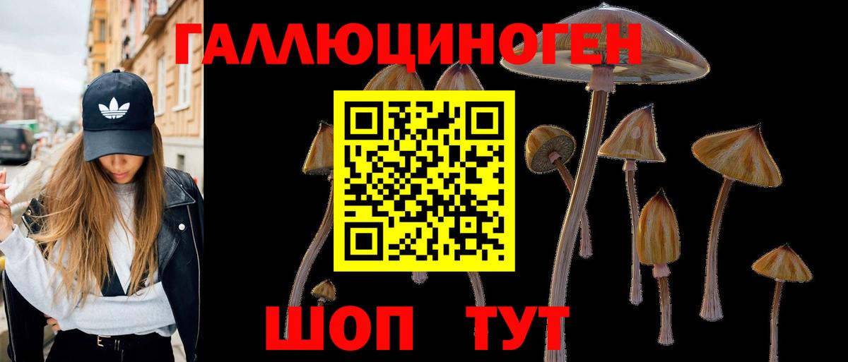 Галлюциногенные грибы GOLDEN TEACHER Железногорск